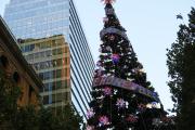 City of Sydney Christmas